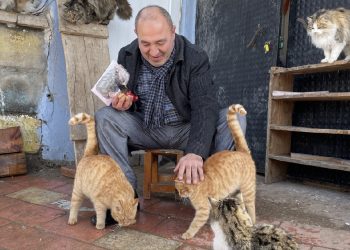 Soğuk kış günlerinde evini kedilere tahsis etti