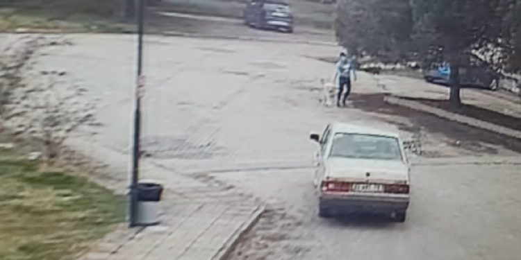 Antrenörün üzerine sürdü: ‘Kaptan’ yaralandı