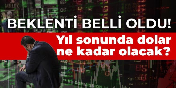 Beklenti belli oldu! Yıl sonunda dolar ne kadar olacak?
