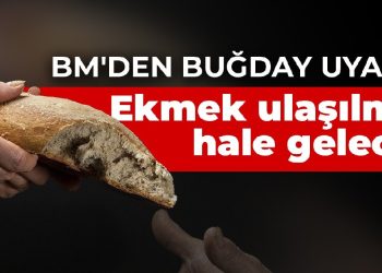 BM’den buğday uyarısı: Ekmek ulaşılmaz hale gelecek