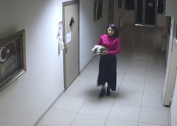El sanatları öğretmeni ölen kedinin karnını açıp, yavrularını kalp masajıyla kurtardı