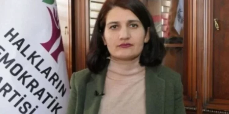 HDP’li Güzel hakkındaki fezleke iade edildi