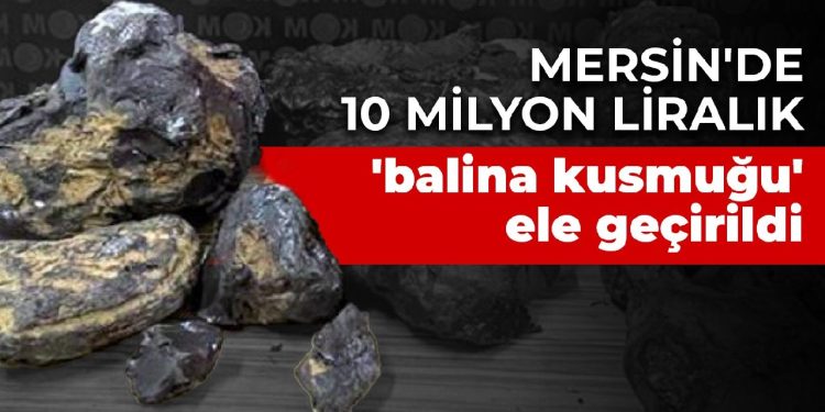 Mersin’de 10 milyon liralık ‘balina kusmuğu’ ele geçirildi