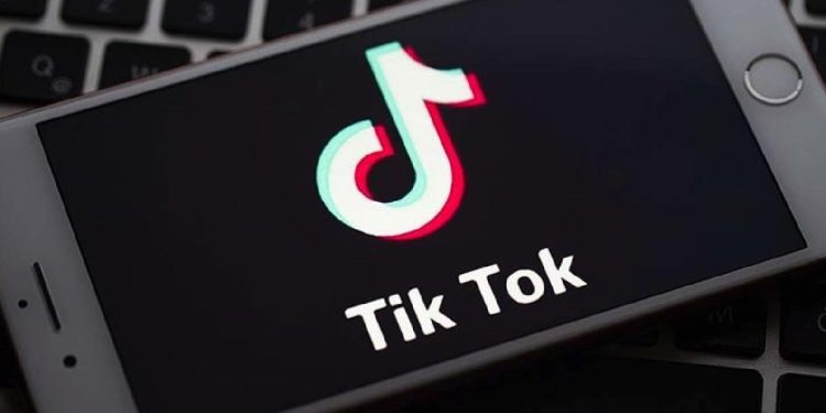 TikTok yetkilileri, Meclis’te soruları yanıtladı