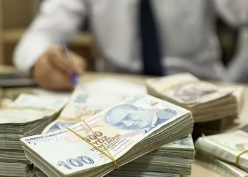 TVF’dan kamu bankalarına sermaye desteği