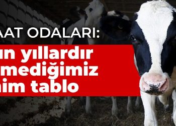 Ziraat Odaları: Bu uzun yıllardır görmediğimiz bir durum, tablo vahim