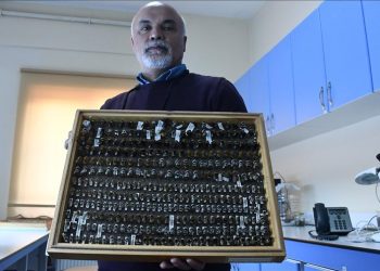 ‘Böcek sevdalısı’ profesörün, 4 bin türlük koleksiyonu