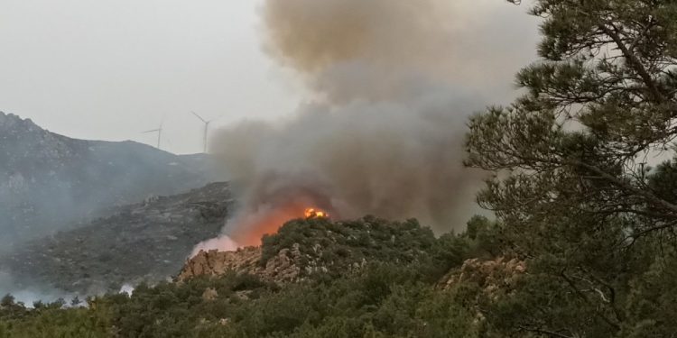 Bodrum’daki orman yangını kontrol altında