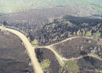 Çanakkale’deki orman yangını 18 saatte kontrol altına alındı