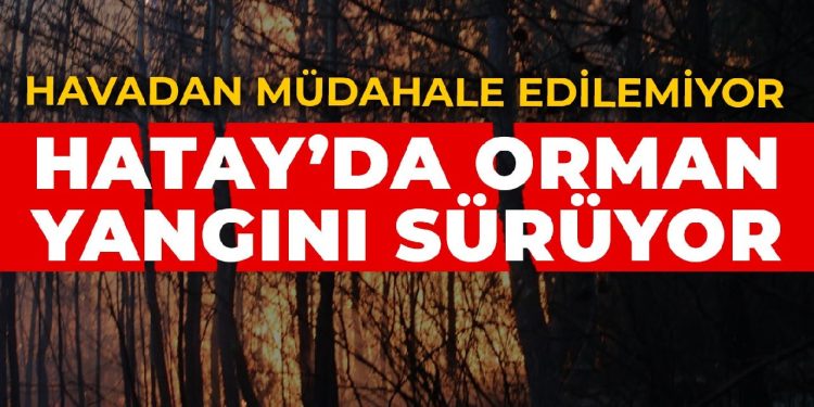 Hatay’da orman yangını sürüyor: Havadan müdahale edilemiyor