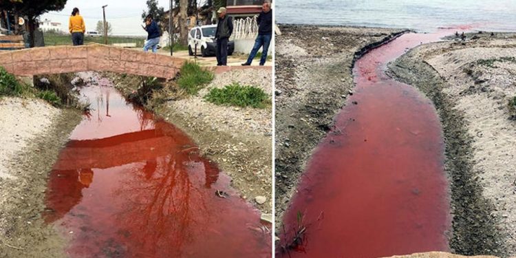 Kamara Deresi’ni kırmızıya boyayan tesis kapatıldı