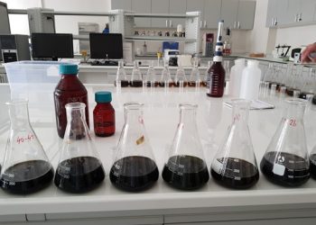 Marmara Denizi’nde toksik tehlikesi