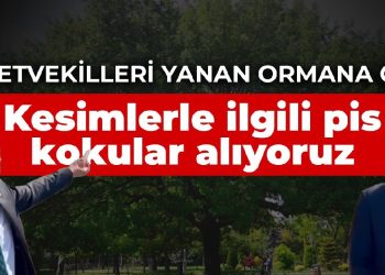 Milletvekilleri geçen yıl yanan ormana gitti: Kesimlerle ilgili pis kokular alıyoruz