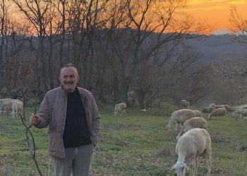 Muradiyeli yurttaş şikayet etti: AKP’li belediyeye para cezası verildi