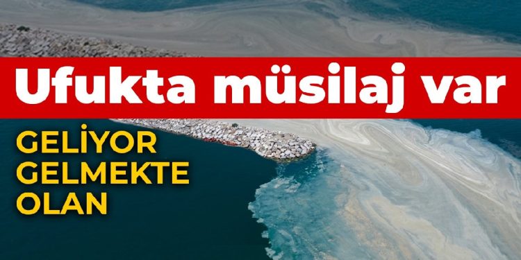 Prof. Dr. Sarı: Yeni bir müsilaj ihtimali yüksek
