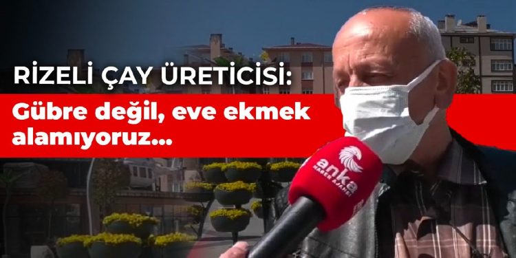 Rizeli çay üreticisi: Gübre değil, eve ekmek alamıyoruz ki…