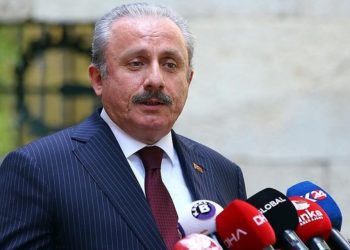 Şentop: Ateşkes için gayret eden tek ülke Türkiye