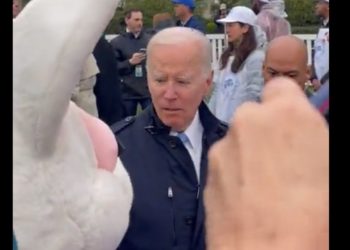 Tavşan gören ‘masum’ Biden