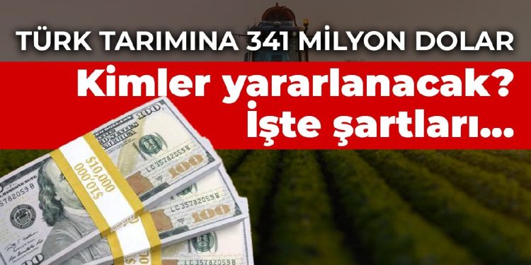 Türk tarımına 341 milyon dolarlık kredi! Kimler yararlanacak? İşte şartları…