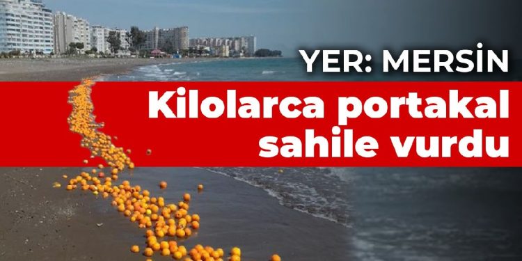 Yer Mersin: Kilolarca portakal sahile vurdu