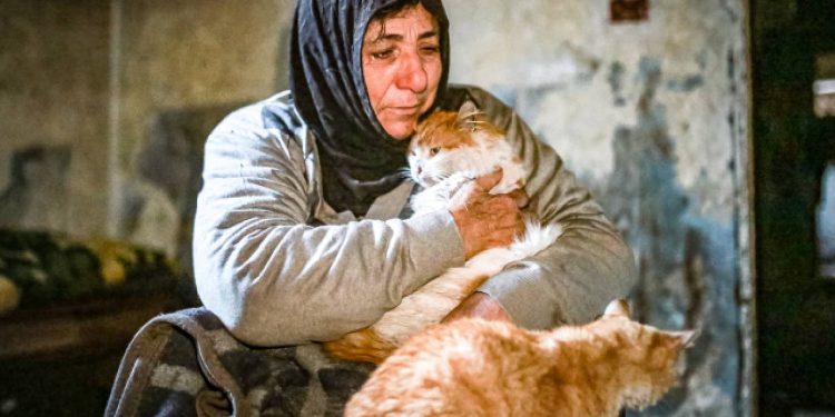 Bir vefa hikayesi! Dilenerek hem engelli oğluna hem kedilerine bakıyor