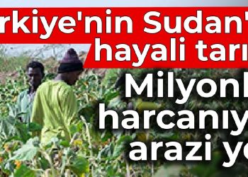Türkiye’nin Sudan’da hayali tarımı: Milyonlar harcanıyor, arazi yok