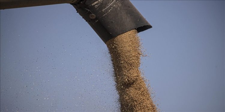 Ukrayna Batı Afrika’da tahıl merkezleri açacak